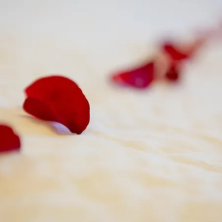 Artemis Отель 3*