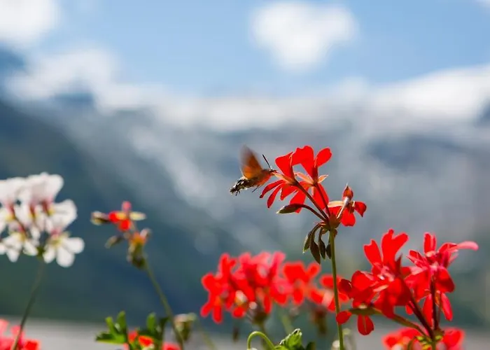 Ξενοδοχείο Artemis 3*