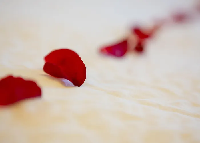 Artemis ホテル 3*