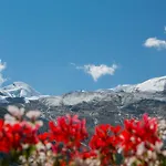 Artemis Hotel Saas Fee