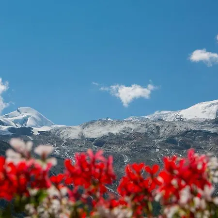 Artemis 호텔 Saas Fee